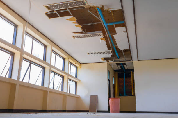 Best 24-hour water damage restoration  in Park City, TN