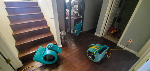 Best Water damage restoration near me  in Park City, TN