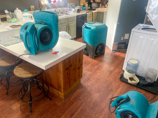 Best Sewage cleanup and water damage restoration  in Park City, TN
