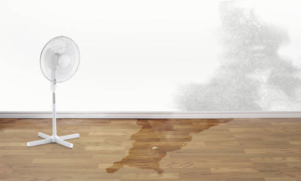 Best Emergency water damage restoration  in Park City, TN