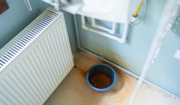 Best Local water damage restoration  in Park City, TN