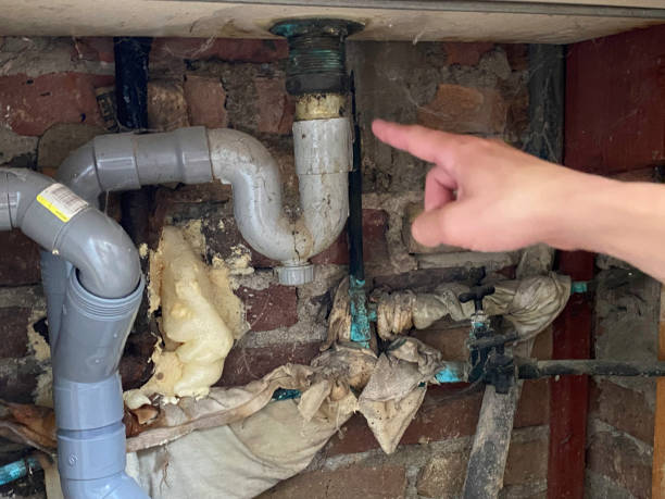 Best Fire Damage Restoration  in Park City, TN