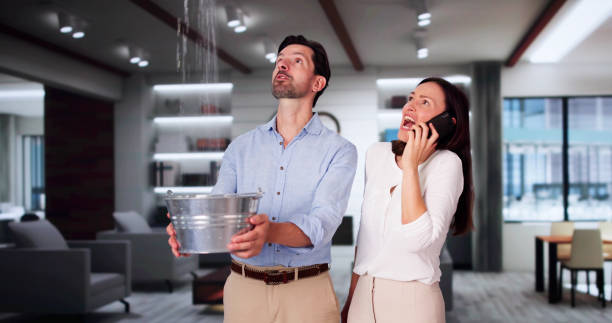Best Mold removal after water damage  in Park City, TN